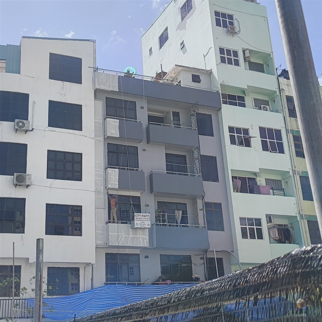 Exterior Painting 01